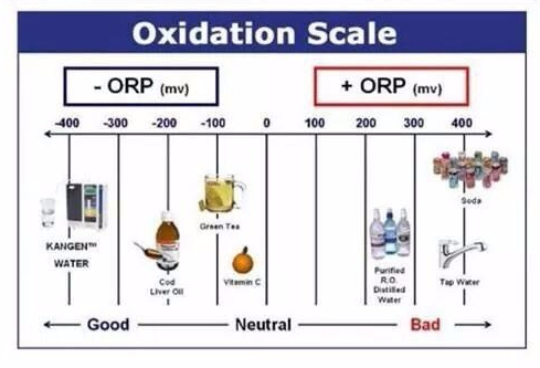 anti oksida